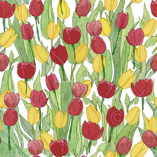 女装印花华亿平台图片