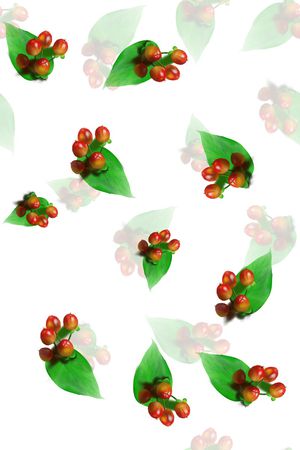 叶子印花华亿平台图片