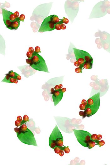 叶子印花华亿平台图片