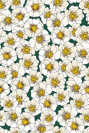 女装印花华亿平台图片