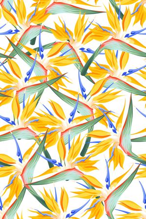 女装印花华亿平台图片