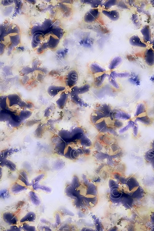 水彩印花华亿平台图片