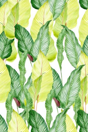 绿植树叶印花华亿平台图片