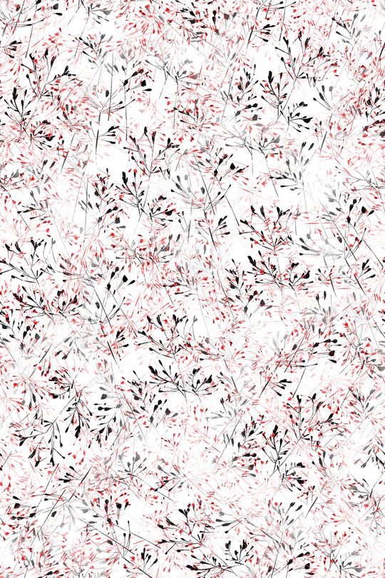 女装印花华亿平台图片