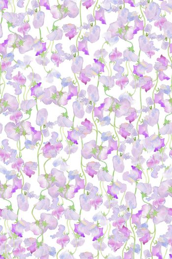 1537829-JX20230040-2