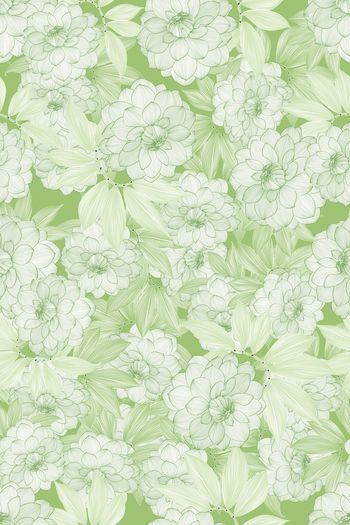 1538118-花卉20192-2