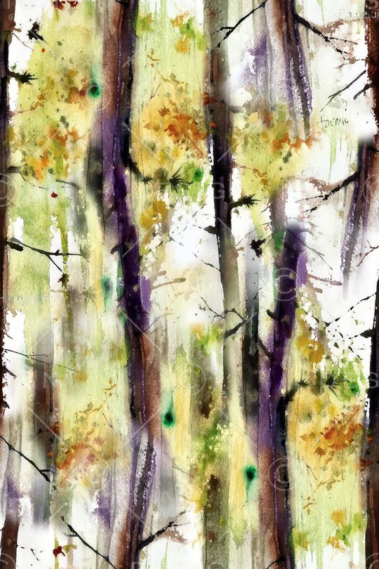 女装印花华亿平台图片