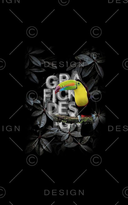 大牌风印花华亿平台图片