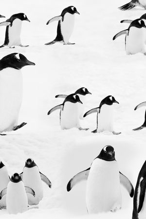 趣味印花华亿平台图片