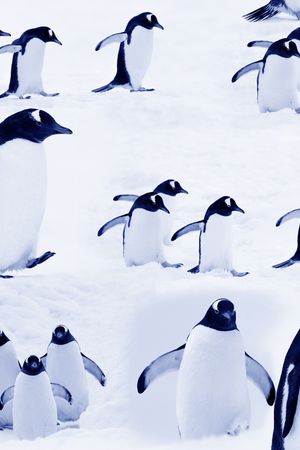 趣味印花华亿平台图片