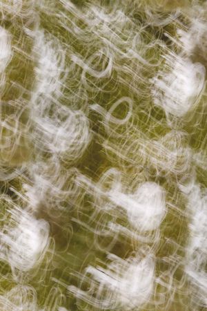 肌理印花华亿平台图片