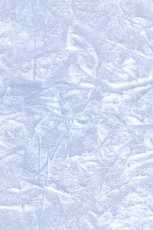 秋冬华亿平台印花华亿平台图片