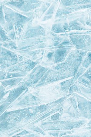 秋冬华亿平台印花华亿平台图片