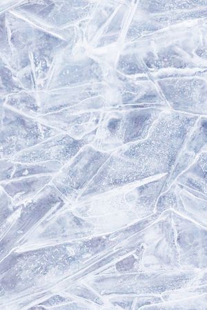 秋冬华亿平台印花华亿平台图片