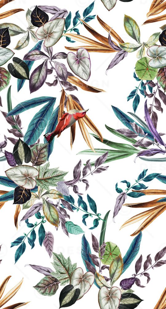 花鸟印花华亿平台图片