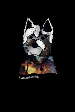 卡通印花华亿平台图片