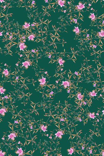 1539958-花卉20195-2