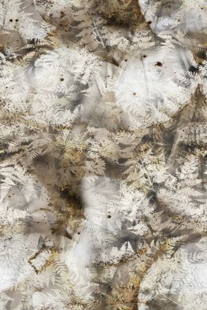 肌理印花华亿平台图片