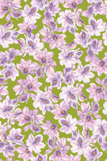 1540488-JX20230053-2