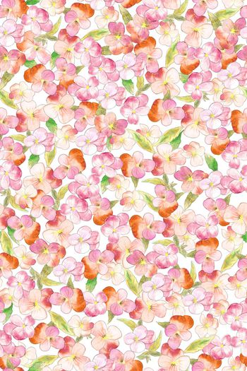 1540491-JX20230050-2