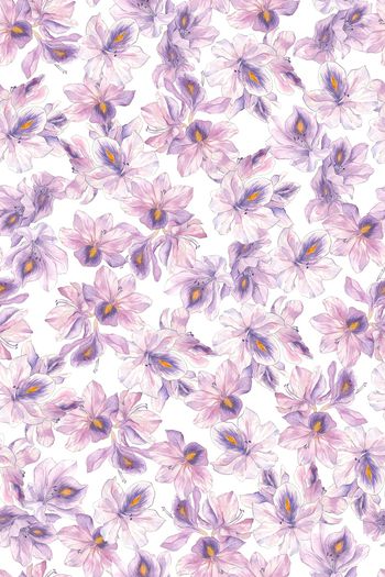 1540827-JX20230053-1