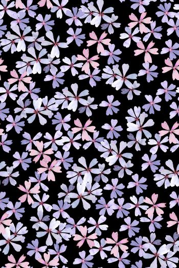 1540829-JX20230054-3