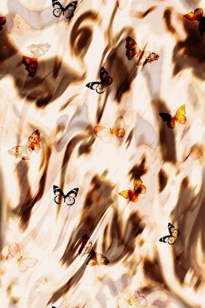 蝴蝶印花华亿平台图片