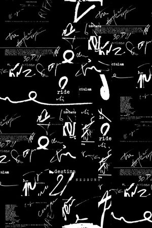 字母印花华亿平台图片