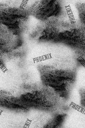 字母印花华亿平台图片