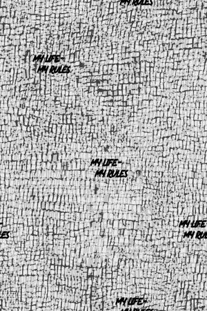 字母印花华亿平台图片