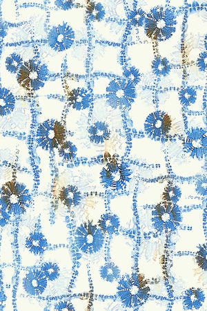 抽象花卉印花华亿平台图片