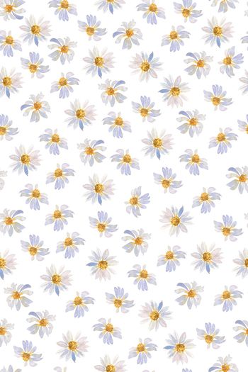 1541677-JX20230061-2