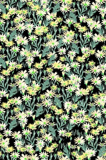 1541684-JX20230062-3