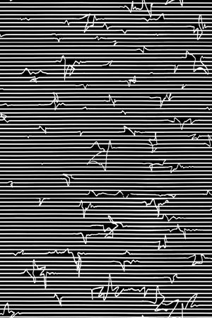 条纹印花华亿平台图片