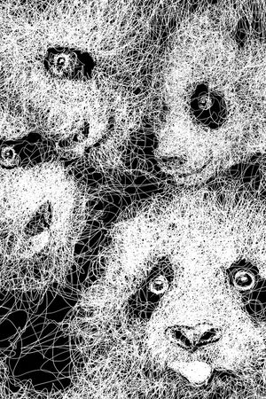 熊猫印花华亿平台图片