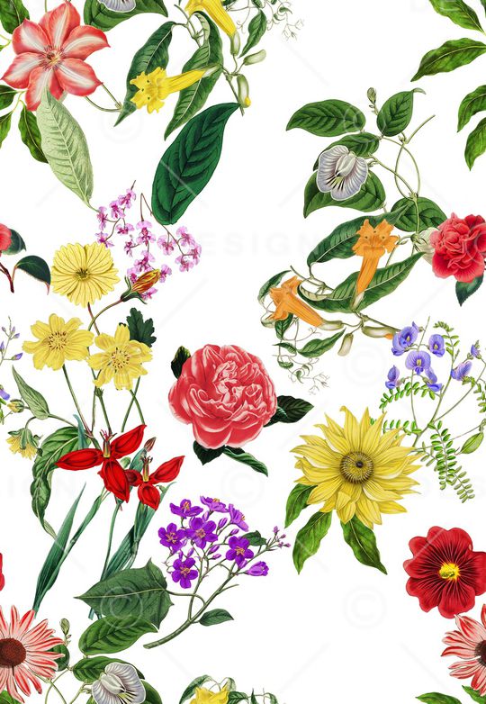 复古印花华亿平台图片