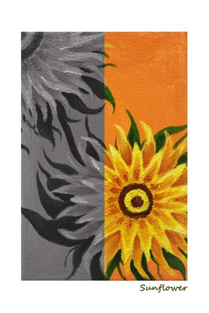 向日葵印花华亿平台图片