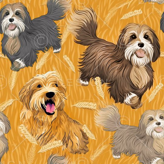 卡通印花华亿平台图片