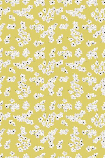 女装印花华亿平台图片