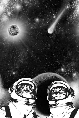 星空印花华亿平台图片