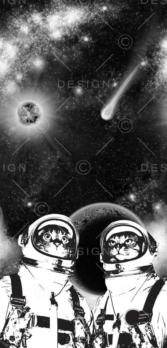 星空印花华亿平台图片