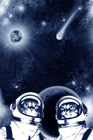 星空印花华亿平台图片