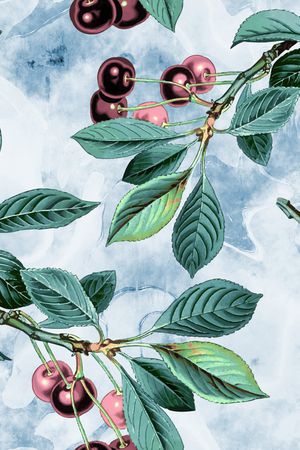 水果印花华亿平台图片