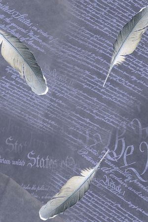 羽毛印花华亿平台图片