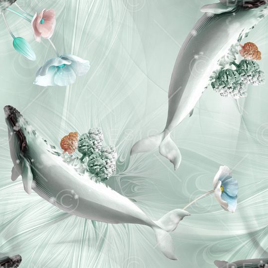 鲸鱼印花华亿平台图片