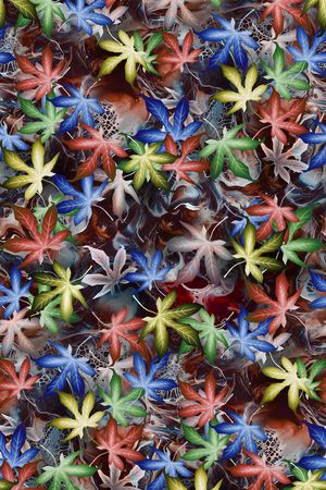 枫叶印花华亿平台图片