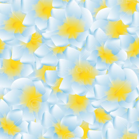 女装印花华亿平台图片