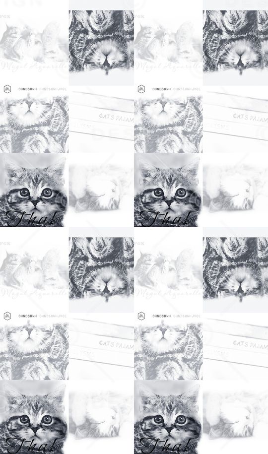 猫印花华亿平台图片