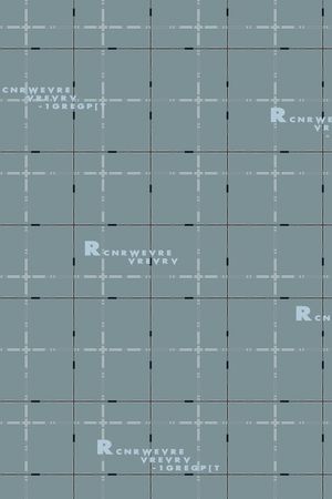 条纹印花华亿平台图片