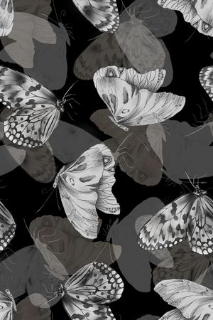 黑白印花华亿平台图片